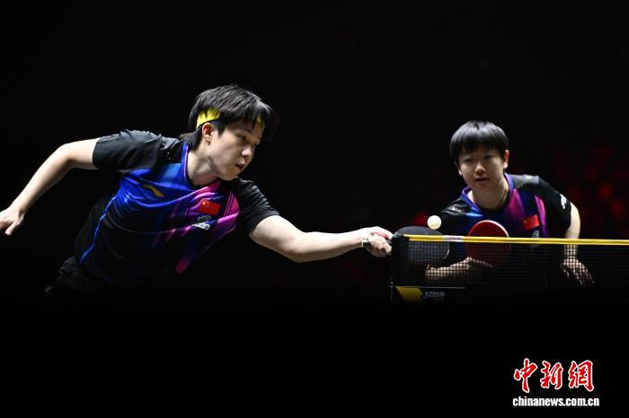 王楚钦一日三赛全胜晋级四强 女单选手集体突围